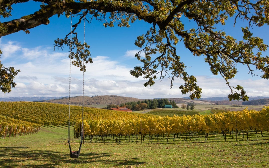 Andante Vineyard Q and A with Owner Karen Saul