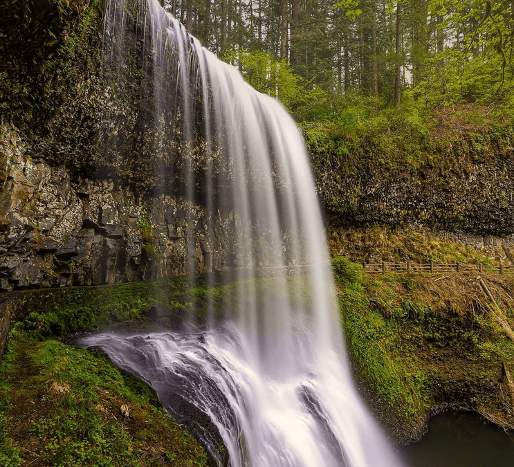 Experience Ten Waterfalls at Silver Falls