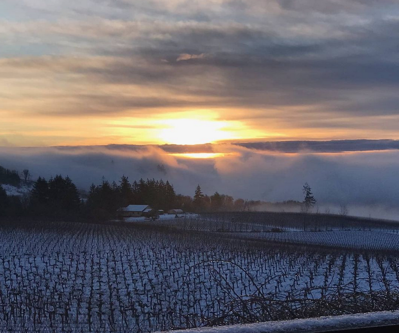 7 Reasons to Visit Wine Country in Winter