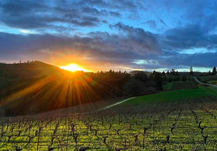 Make a Habit Out of Getting to Wine Country