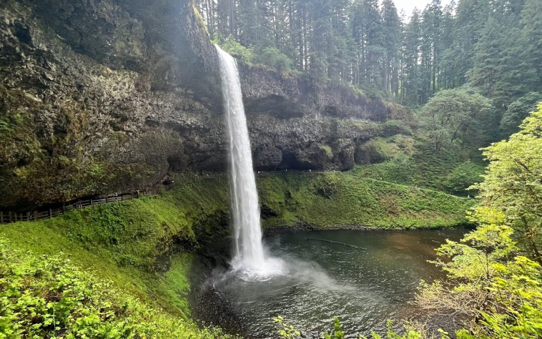Day-Trip: 10 Waterfalls at Silver Falls State Park